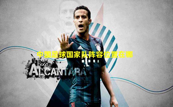 中国足球国家队阵容位置在哪