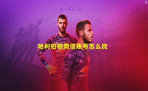 哈利伯顿微信账号怎么找