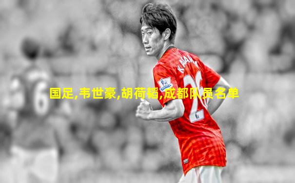 国足,韦世豪,胡荷韬,成都队员名单