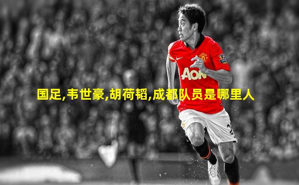 国足,韦世豪,胡荷韬,成都队员是哪里人