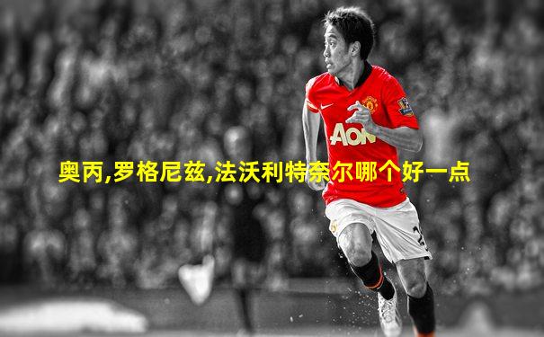 奥丙,罗格尼兹,法沃利特奈尔哪个好一点