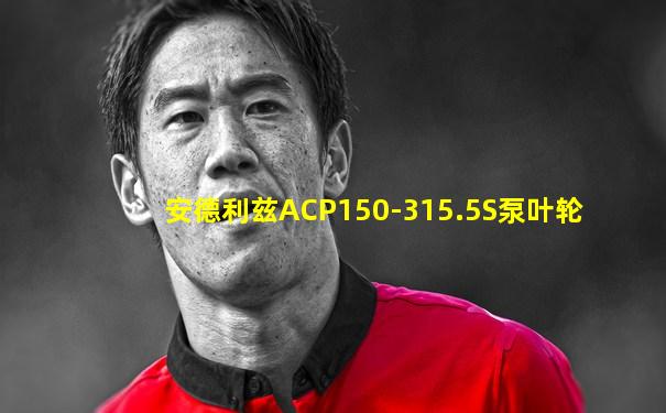安德利兹ACP150-315.5S泵叶轮