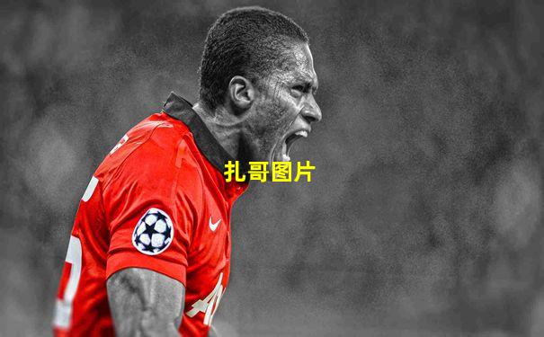 扎哥图片