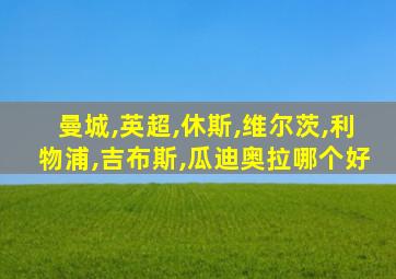 曼城,英超,休斯,维尔茨,利物浦,吉布斯,瓜迪奥拉哪个好