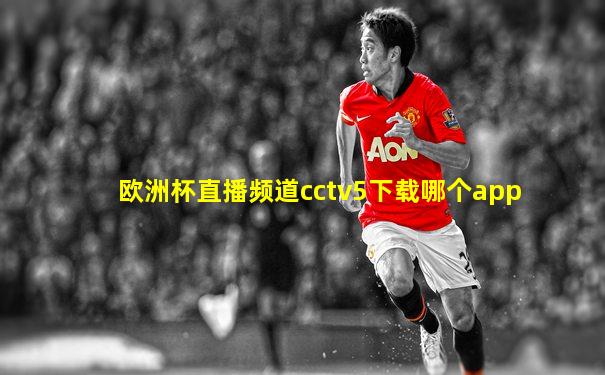 欧洲杯直播频道cctv5下载哪个app
