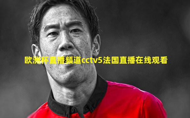 欧洲杯直播频道cctv5法国直播在线观看