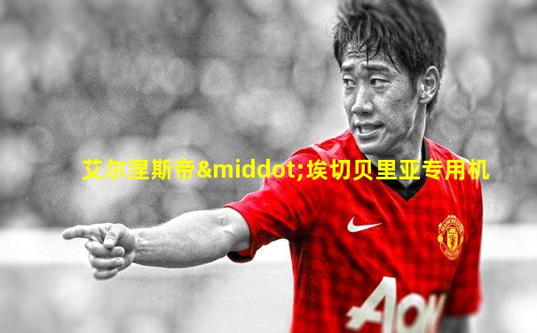 艾尔涅斯帝·埃切贝里亚专用机