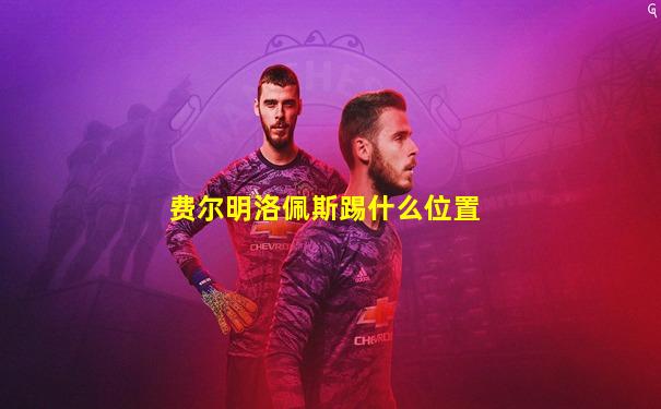 费尔明洛佩斯踢什么位置